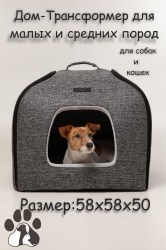 Аристократ грей